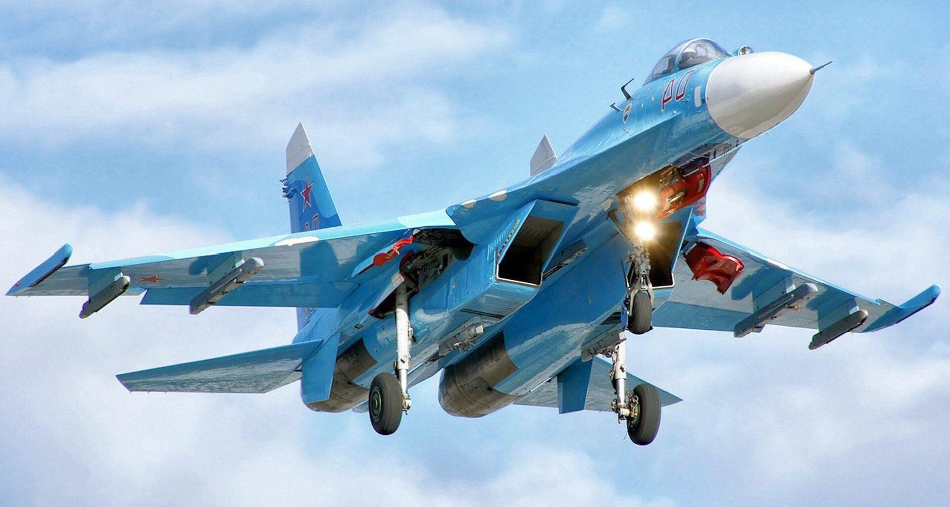 Preferują naszą krew. Te zwierzęta coraz częściej atakują ludzi