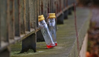 2 mln wyświetleń. Tak zatańczyli poloneza. Hit sieci