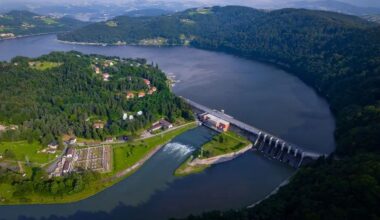 "Mocna lekcja pokory" dla rolników? Prawnik z Brukseli o umowie handlowej z Mercosurem