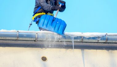 Nawet 18 tys. zł miesięcznie. Czeski przewoźnik kusi zarobkami