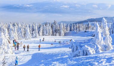 Irytujące zachowania pasażerów samolotów.