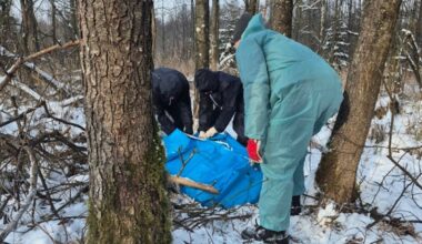 Leśnicy pokazali zdjęcie. Mnożą się pytania