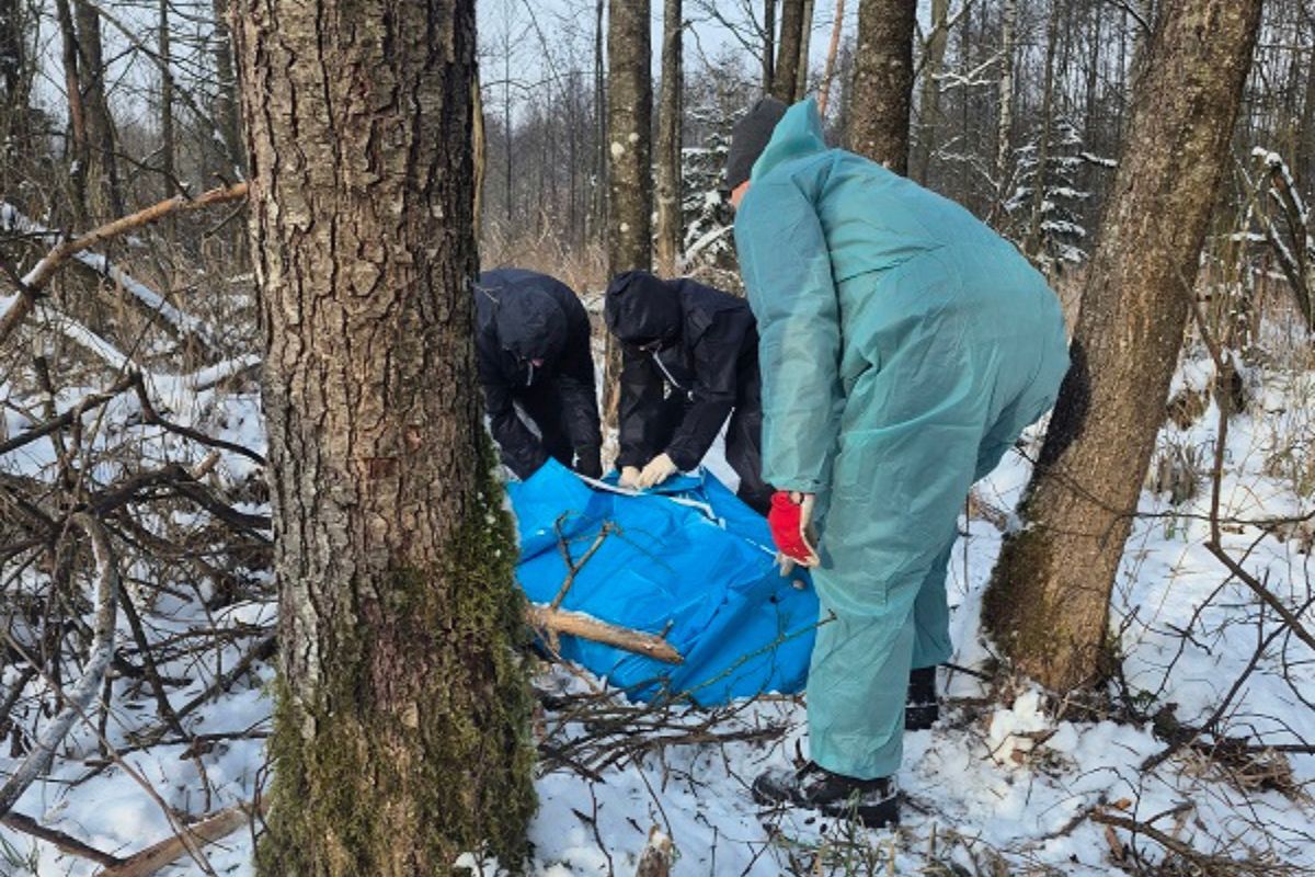 Leśnicy pokazali zdjęcie. Mnożą się pytania
