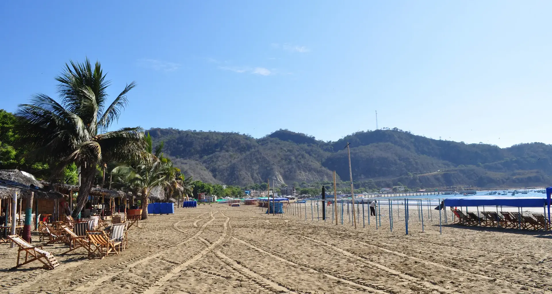 Zadusił psa metalową linką. Sprawa Timo trafiła do opolskiego sądu