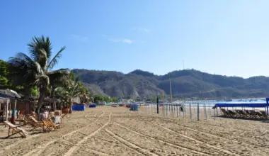 Zadusił psa metalową linką. Sprawa Timo trafiła do opolskiego sądu