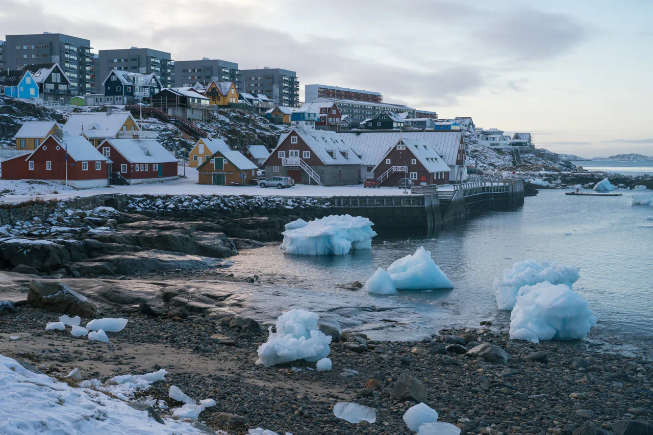 Atak na Grenlandię? Armia ma strzelać bez rozkazu