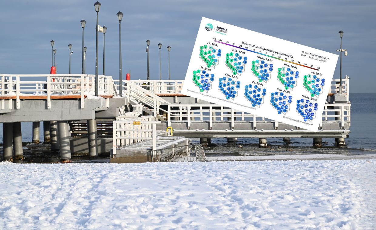 Donald Trump szczęśliwy. Jednak Komitet Noblowski nie ma dobrych wieści