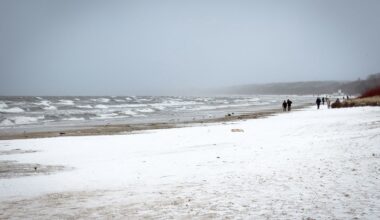Zmarł prof. Leszek Paradowski. Ceniony lekarz, były rektor Akademii Medycznej
