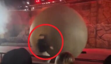 Noworoczna msza w Watykanie. Papież Leon XIV przytoczył słowa Jana Pawła II