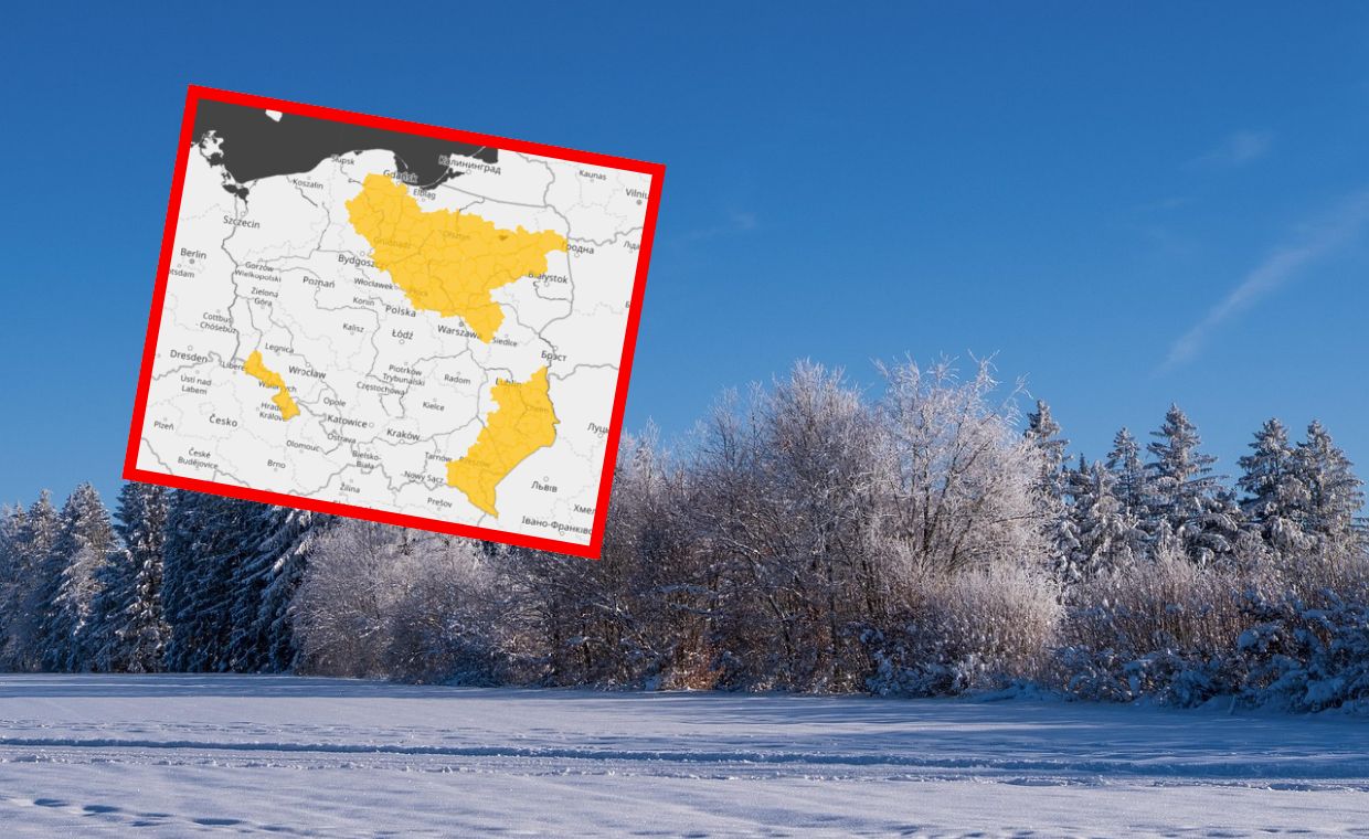 Szokująca reakcja agentów ICE po strzałach do kobiety w Minneapolis