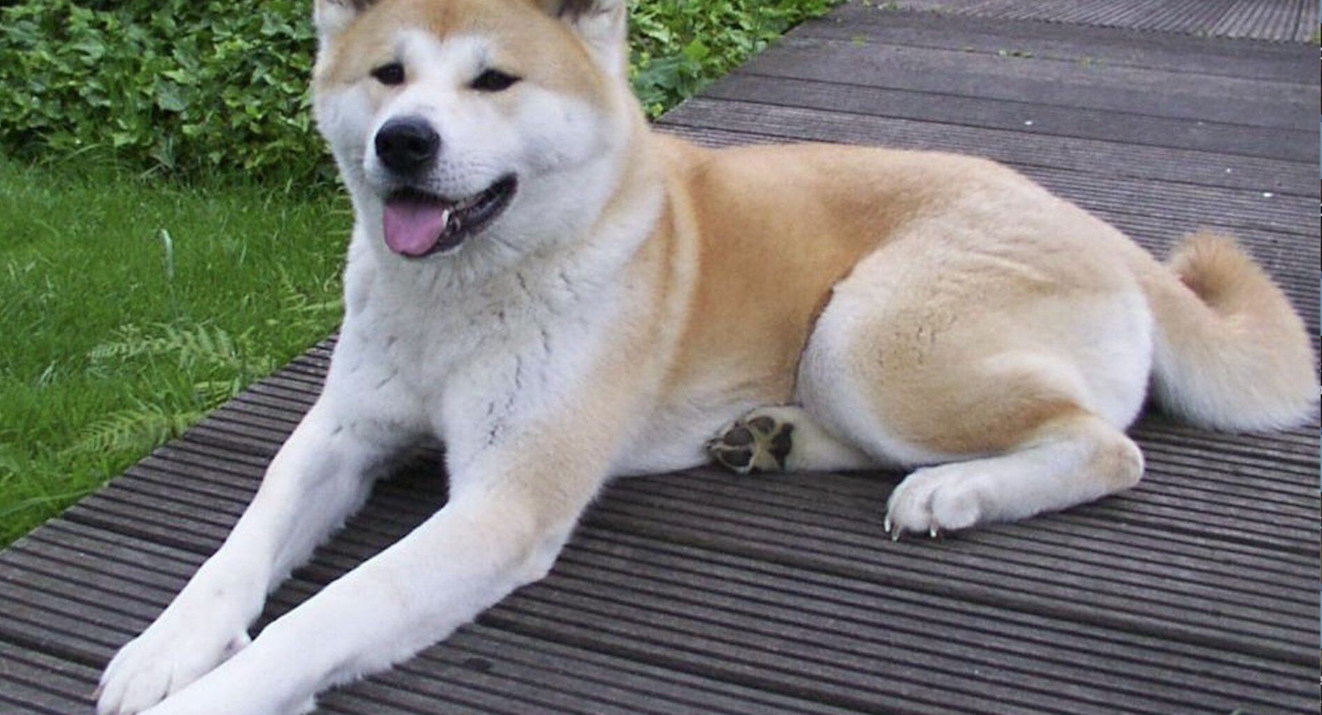 Zabójstwo na ulicach Gdańska. Rusza proces w głośnej sprawie