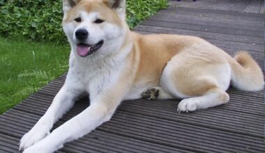 Zabójstwo na ulicach Gdańska. Rusza proces w głośnej sprawie