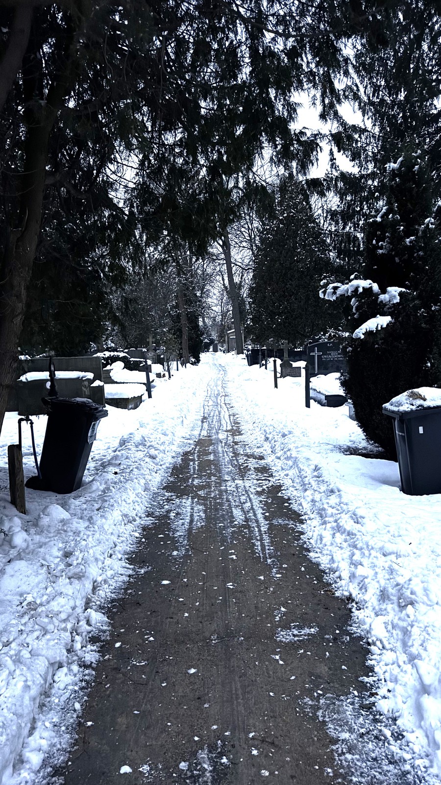 Cmentarz ewangelicko-augsburski w Warszawie
