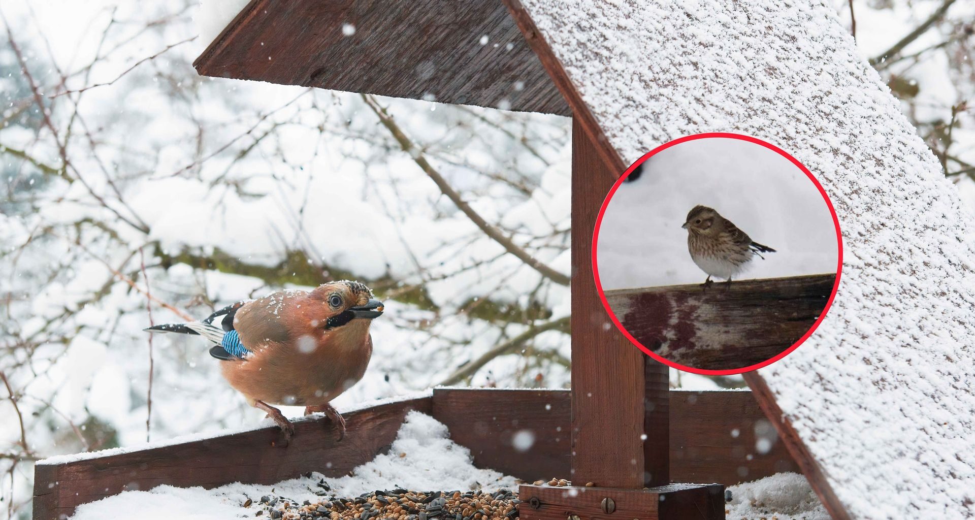 To miejsce zachwyca nie tylko pielgrzymów. Nazywają je śląską Kaplicą Sykstyńską