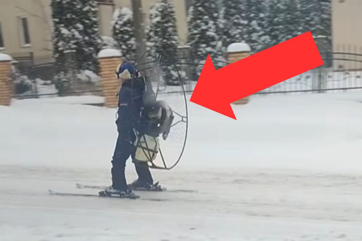 Tak walczysz z pchłami u psa albo kota? Te środki zagrażają środowisku