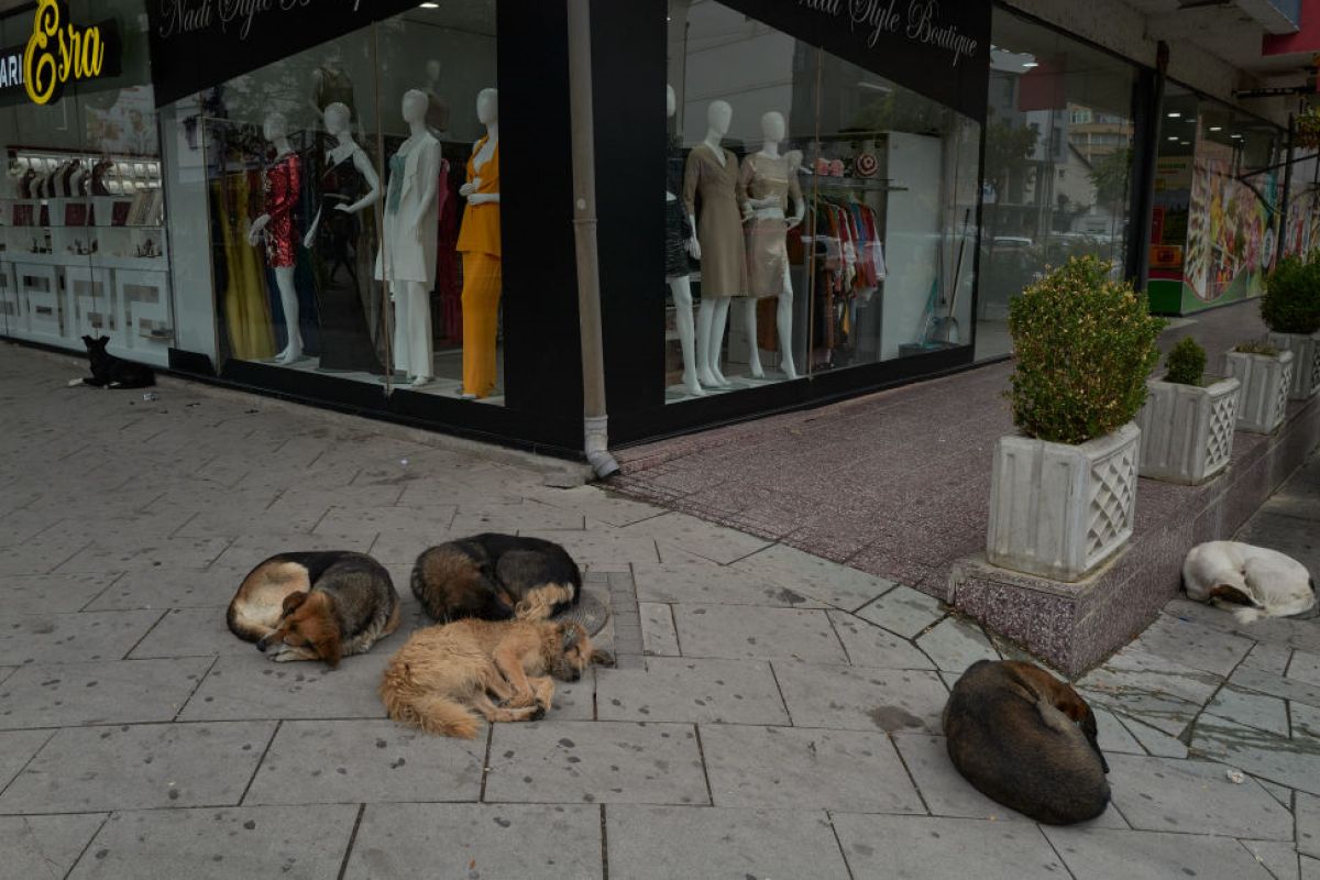 Zmarł prof. Mieczysław Mąkosza. Był wybitnym chemikiem