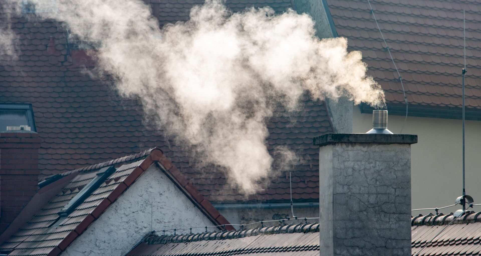 Polskie firmy stawiają na AI. Tak chcą obniżać koszty