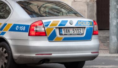 Grenlandia znów na celowniku USA. Chiny reagują na deklaracje Trumpa