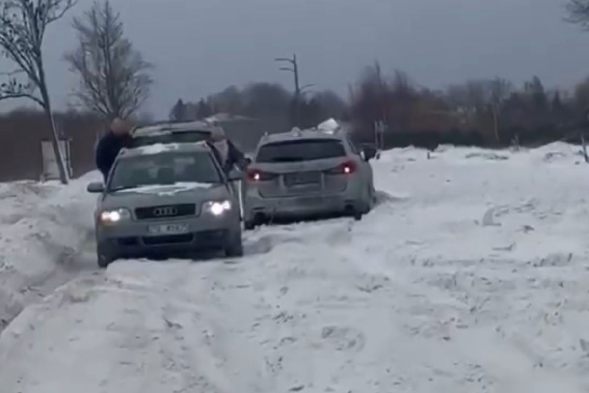 Dziwny ślad na śniegu. Leśnicy tłumaczą