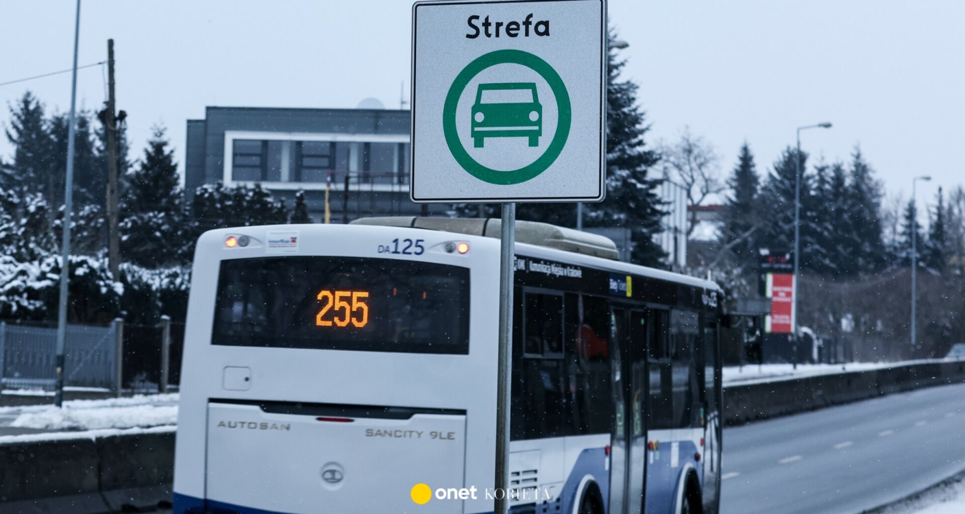 Strefa Czystego Transportu w Krakowie pod lupą. Co naprawdę powoduje smog?