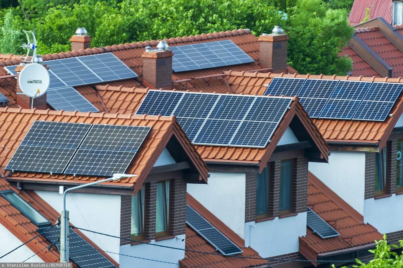 Rząd kontra "projekty zombie". Branża: to wyrok na setki inwestycji