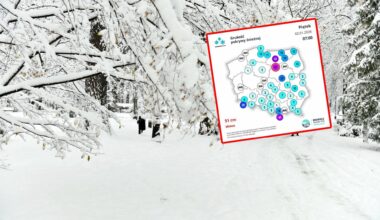 Kto zastąpiłby Łukaszenkę? Po głośnym wypadku kilka scenariuszy