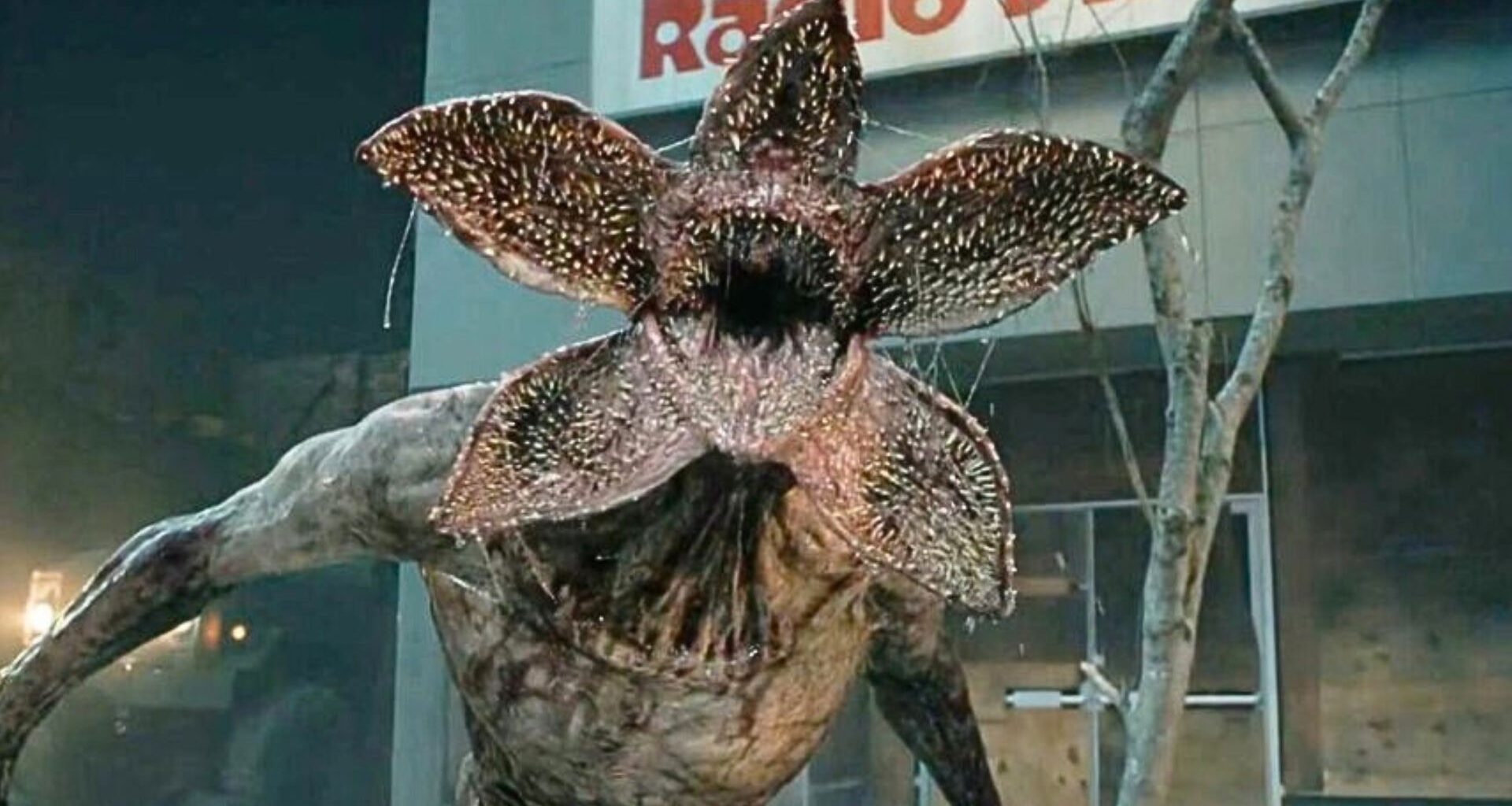 Podano oficjalną przyczynę śmierci gwiazdy "Prawa ulicy"