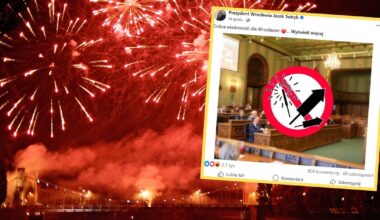 Wrocław chce zakazać fajerwerków. Chodzi nie tylko o dobro zwierząt