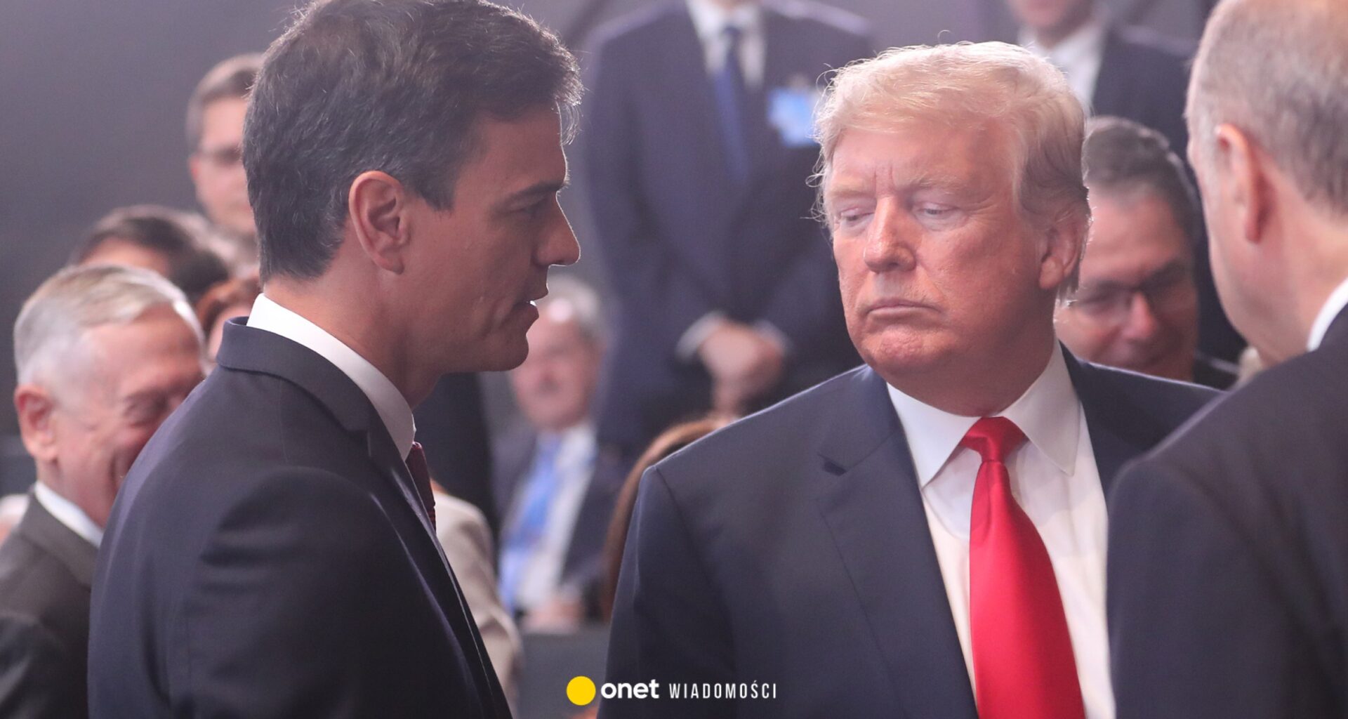 Hiszpania odrzuca udział w Radzie Pokoju. "Rząd USA nie przestrzega prawa międzynarodowego" - Onet Wiadomości