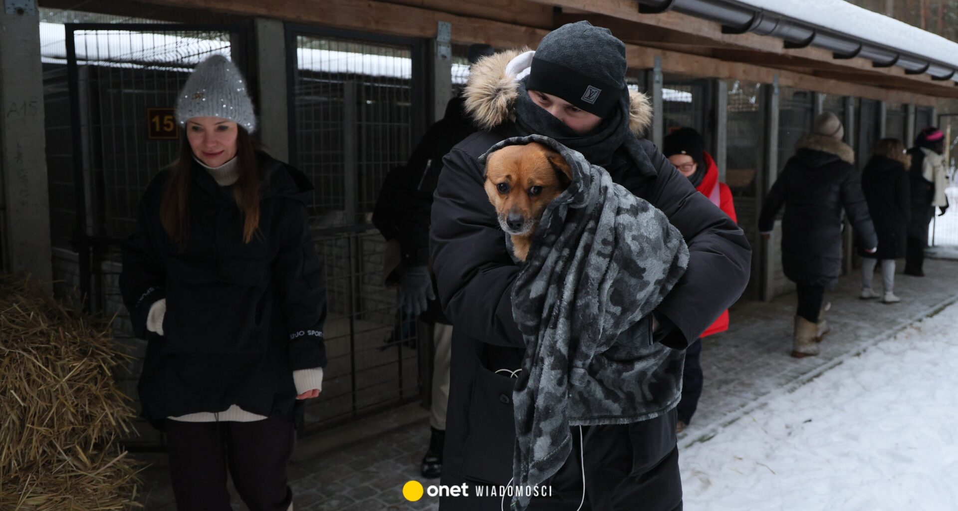 Sprawa schroniska w Sobolewie. Nowe informacje. "To cud, że te psy przeżyły"