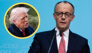 Niemcy wycofali żołnierzy z Grenlandii. Friedrich Merz tłumaczy decyzję - Onet