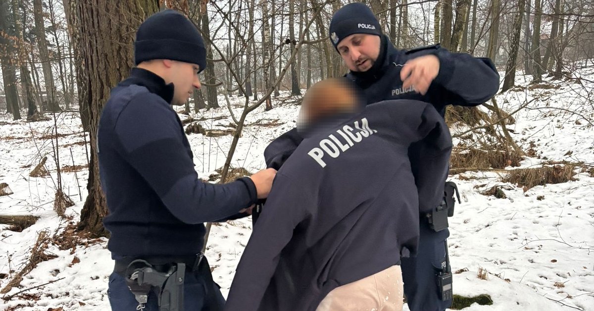 Bose i wychłodzone dziecko w lesie. Policjanci odnaleźli dziewczynkę w ostatniej chwili - Onet