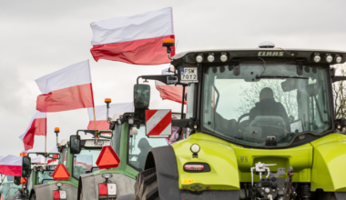 Umowa UE–Mercosur: Niemcy zyskują, polscy rolnicy tracą – rząd „myje ręce” wobec kluczowej decyzji