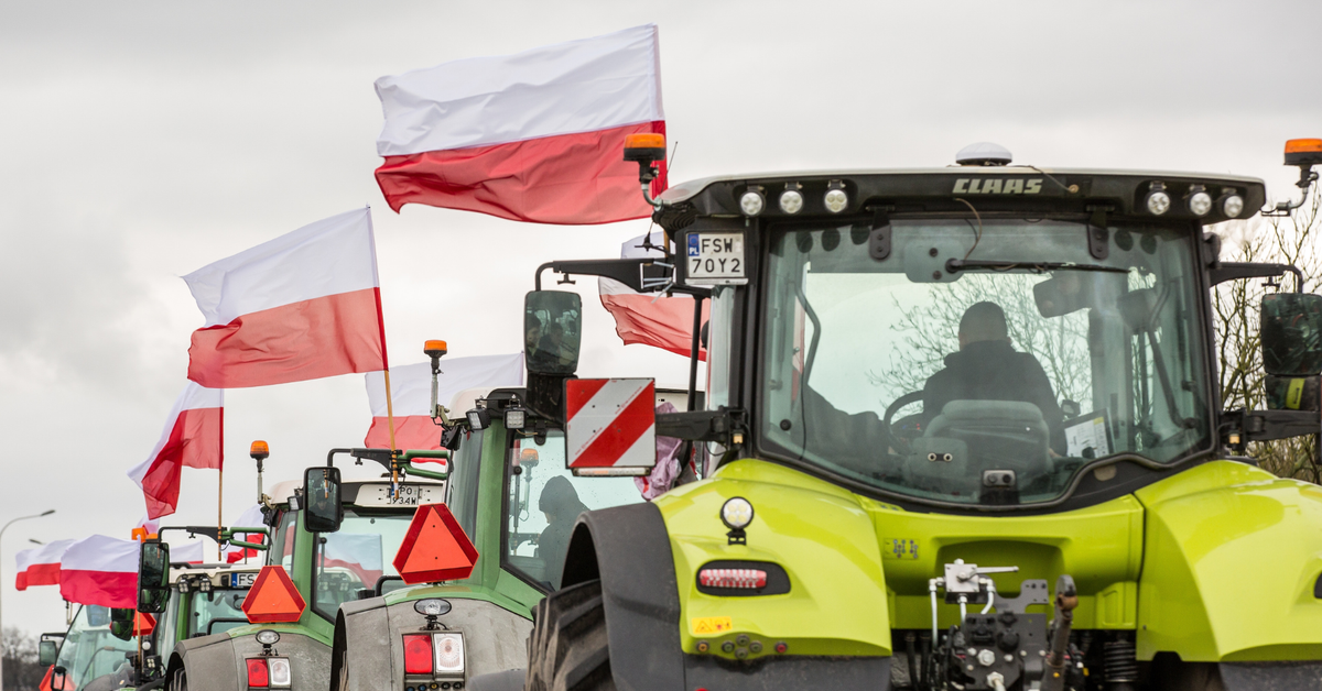 Umowa UE–Mercosur: Niemcy zyskują, polscy rolnicy tracą – rząd „myje ręce” wobec kluczowej decyzji