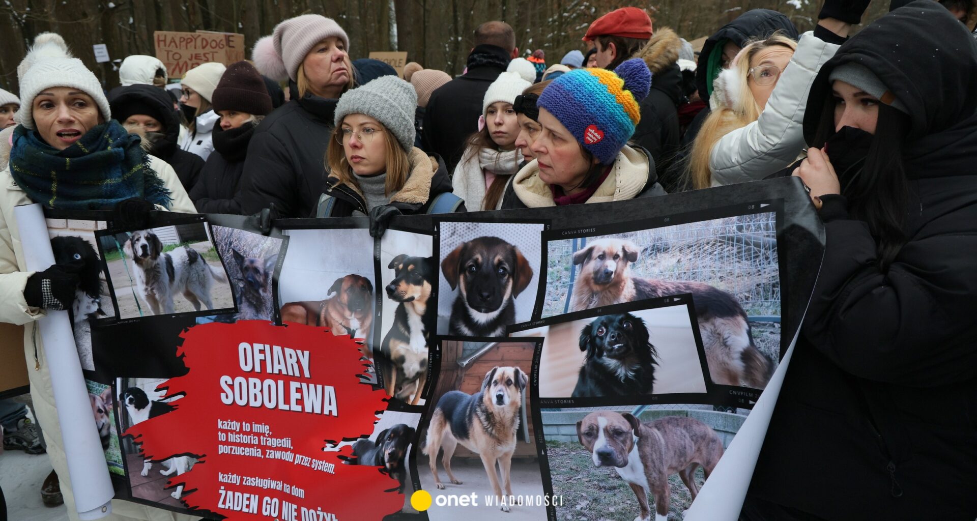 Sprawa schroniska dla zwierząt w Sobolewie. Wojewoda żąda wyjaśnień