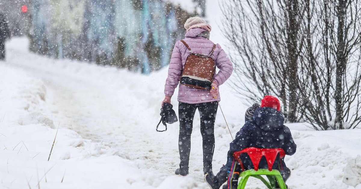 Potężny atak zimy. Coraz więcej szkół na Pomorzu odwołuje zajęcia - Onet