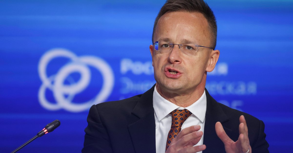 Minister krytykuje "koalicję chętnych". "Węgry nie będą się w to angażować" - Onet