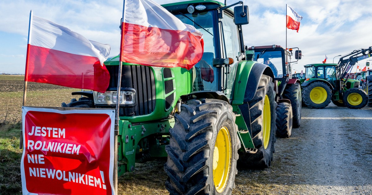 Będzie skarga w sprawie Mercosur. "Nie musimy wpuszczać wszystkiego"