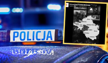 Kierująca mercedesem wjechała pod rozpędzony pociąg. Śmierć na miejscu - Onet