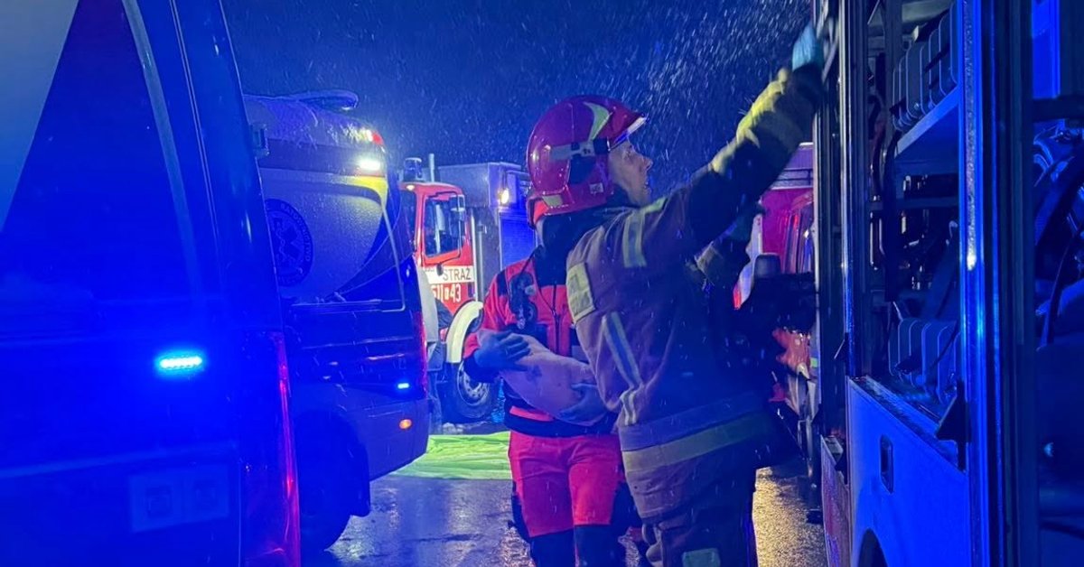 Tragiczny pożar w Krakowie. Ewakuowano mieszkańców, psy nie przeżyły - Onet