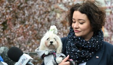 Posłanka Lewicy chwali WOŚP, ale krytykuje Jurka Owsiaka. Podała powody - Onet