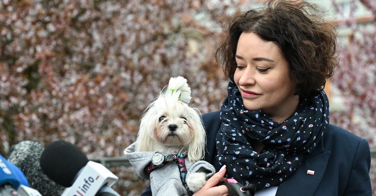 Posłanka Lewicy chwali WOŚP, ale krytykuje Jurka Owsiaka. Podała powody - Onet