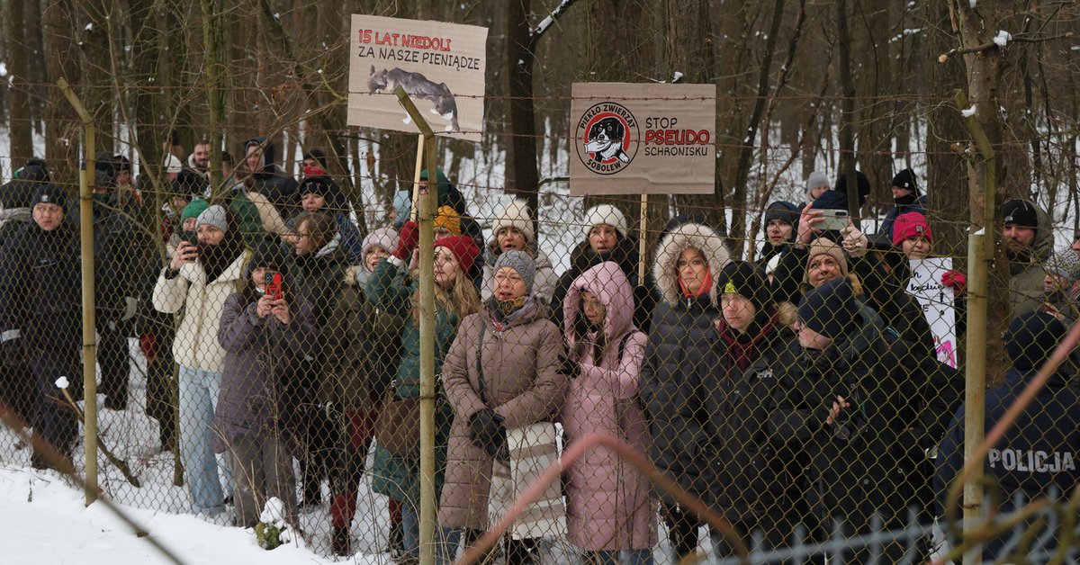 To dlatego zamknęli schronisko w Sobolewie. Oficjalny powód zaskakuje