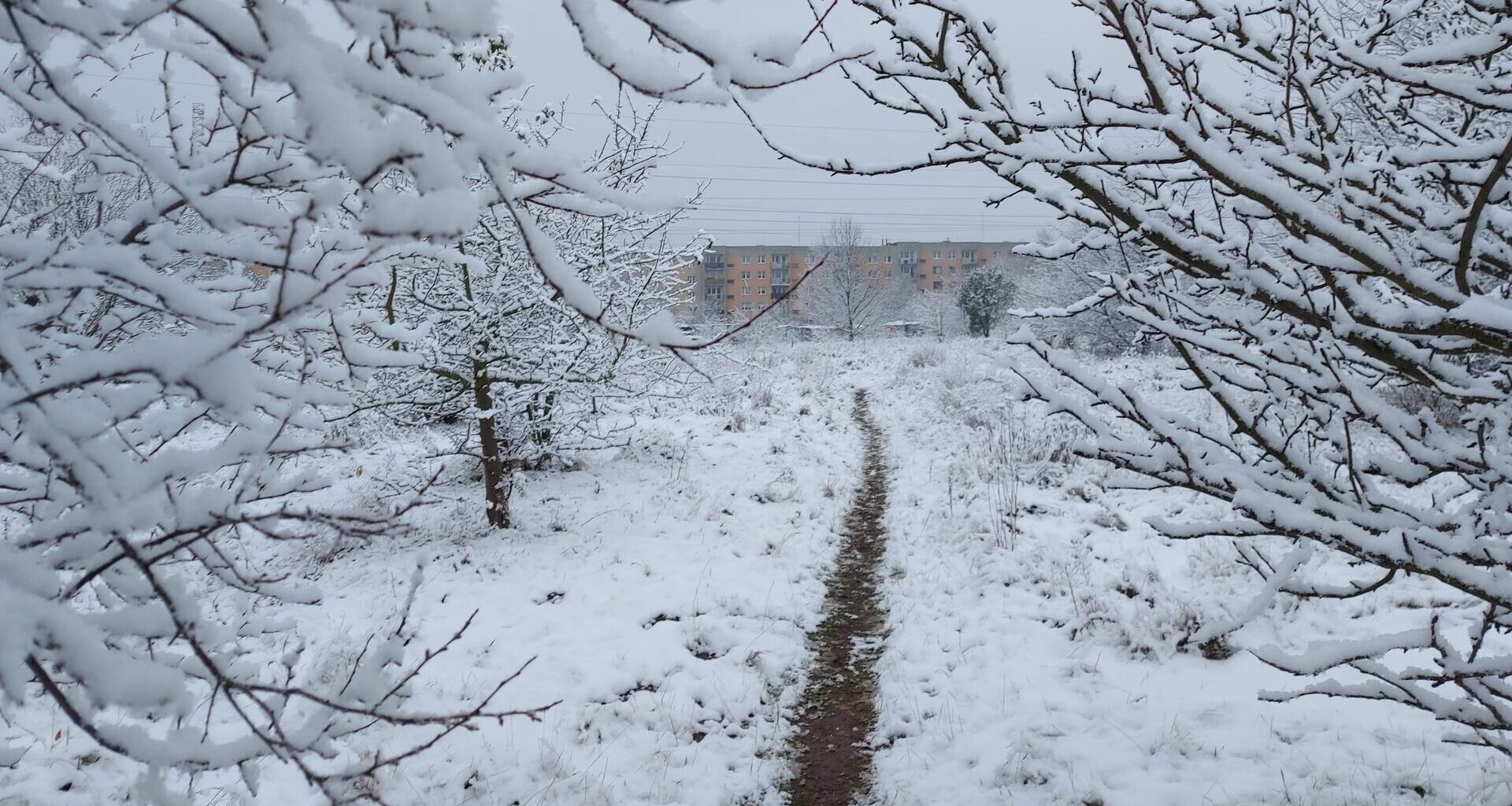 Wracała z zakupów i zamarzła po drodze. Makabryczne odkrycie w Zachodniopomorskiem