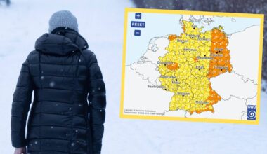 Niemcy pod śniegiem. Meteorolodzy ostrzegają przed zamieciami (screenshot/dwd.de)