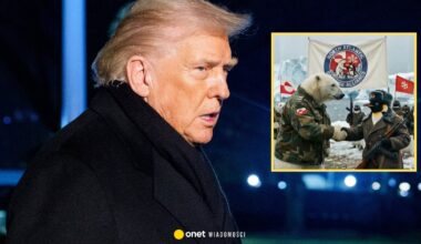 Tak Grenlandia będzie bronić się przed Donaldem Trumpem. Nagranie hitem sieci
