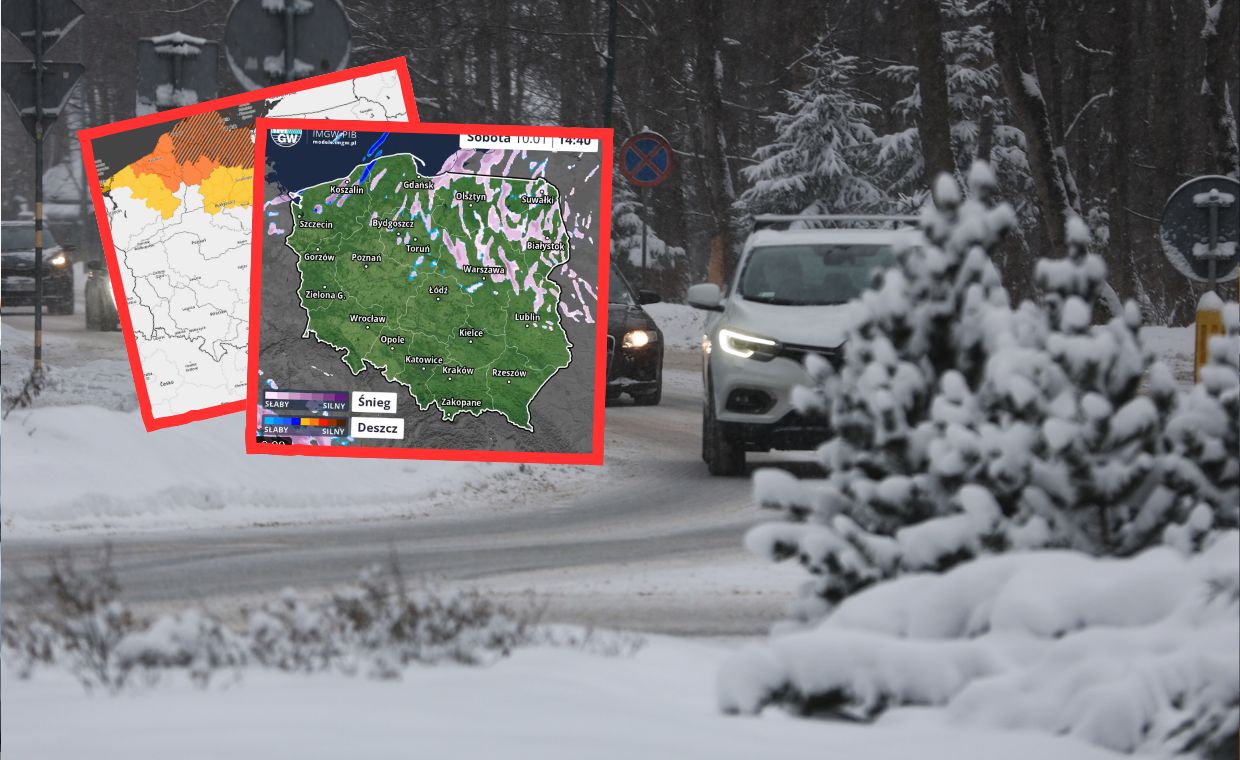 Scenka z wrocławskiego zoo. Nagranie podbija internet