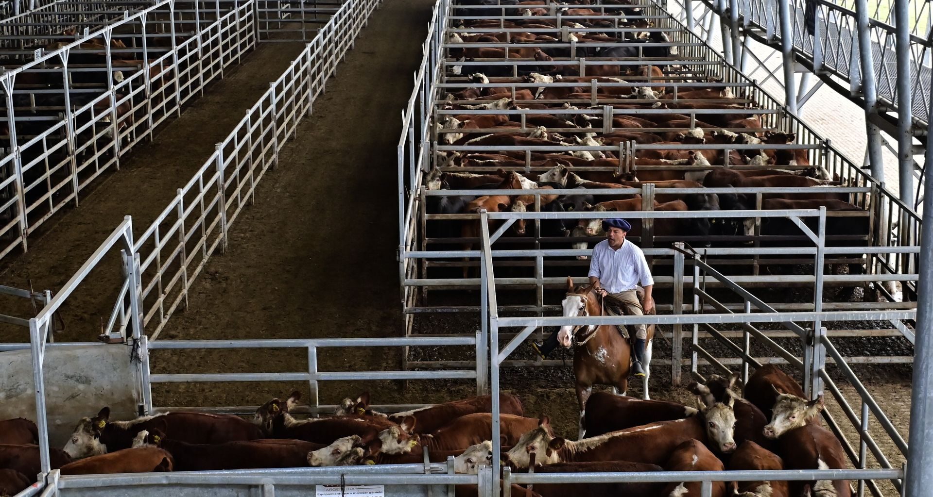 Sklepy Carrefoura w Polsce trafią w państwowe ręce? Ministerstwo zabiera głos