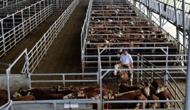 Sklepy Carrefoura w Polsce trafią w państwowe ręce? Ministerstwo zabiera głos