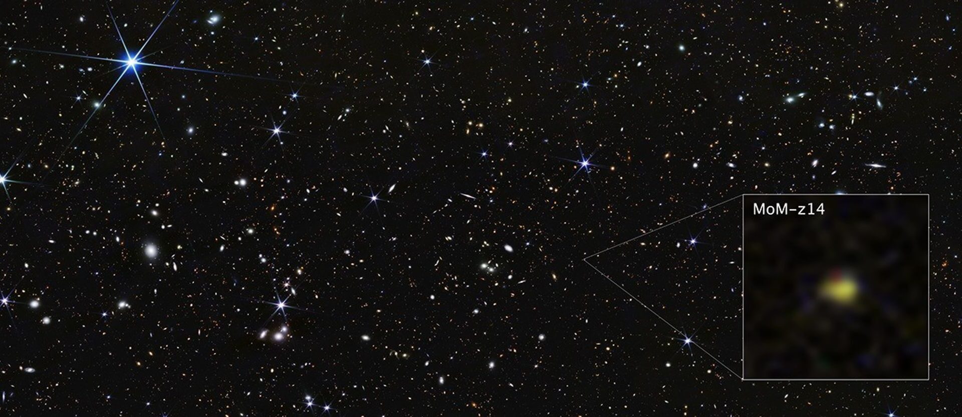 Samolot A-29 Super Tucano. Łowca Shahedów i maszyna CAS dla Polski